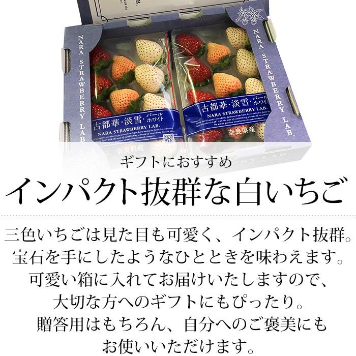 いちご 奈良県産 三色いちご（パールホワイト・淡雪・古都華） 約250g×2パック