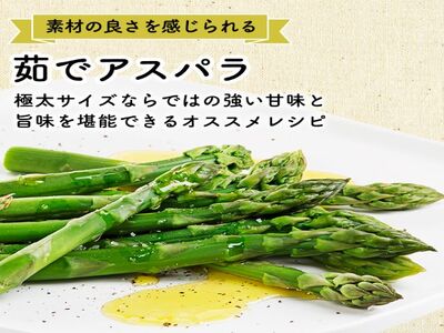 川田農園の春アスパラガス！約1kg（L～2L厳選）青森県鰺ヶ沢町産