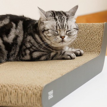 CB Japan hachi 寵物寶貝系列貓抓板(三款可選)