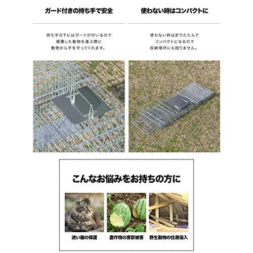 動物用捕獲器 アニマルトラップ 踏み板式  野良猫 迷子猫 小動物 保護 実獣被害 コンパクト収納 ハクビシン