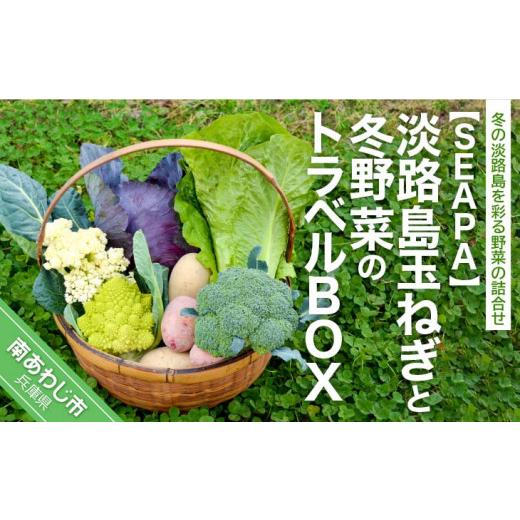 ふるさと納税 兵庫県 南あわじ市 淡路島玉ねぎと冬野菜のトラベルBOX