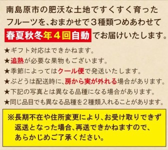 フルーツ定期便 旬の果物をお任せで3品目お届け（2〜3品目×4回）季節の果物 詰め合わせ 果物 フルーツセット   南島原市   吉岡青果 [SCZ020]