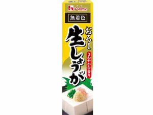  おろし生しょうが 40g ｘ10  個_5セット