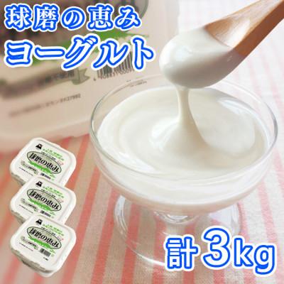 ふるさと納税 あさぎり町 とろ〜り食感　球磨の恵みヨーグルト 砂糖不使用タイプ 1kg×3パック