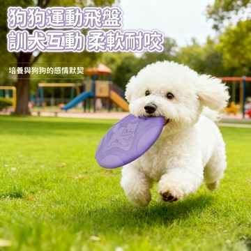 狗戶外玩具 狗狗飛盤玩具 寵物玩具 小狗訓練玩具 寵物互動玩具 狗狗自嗨解悶神器 耐啃咬不傷牙 狗磨牙玩具 寵物益智玩具
