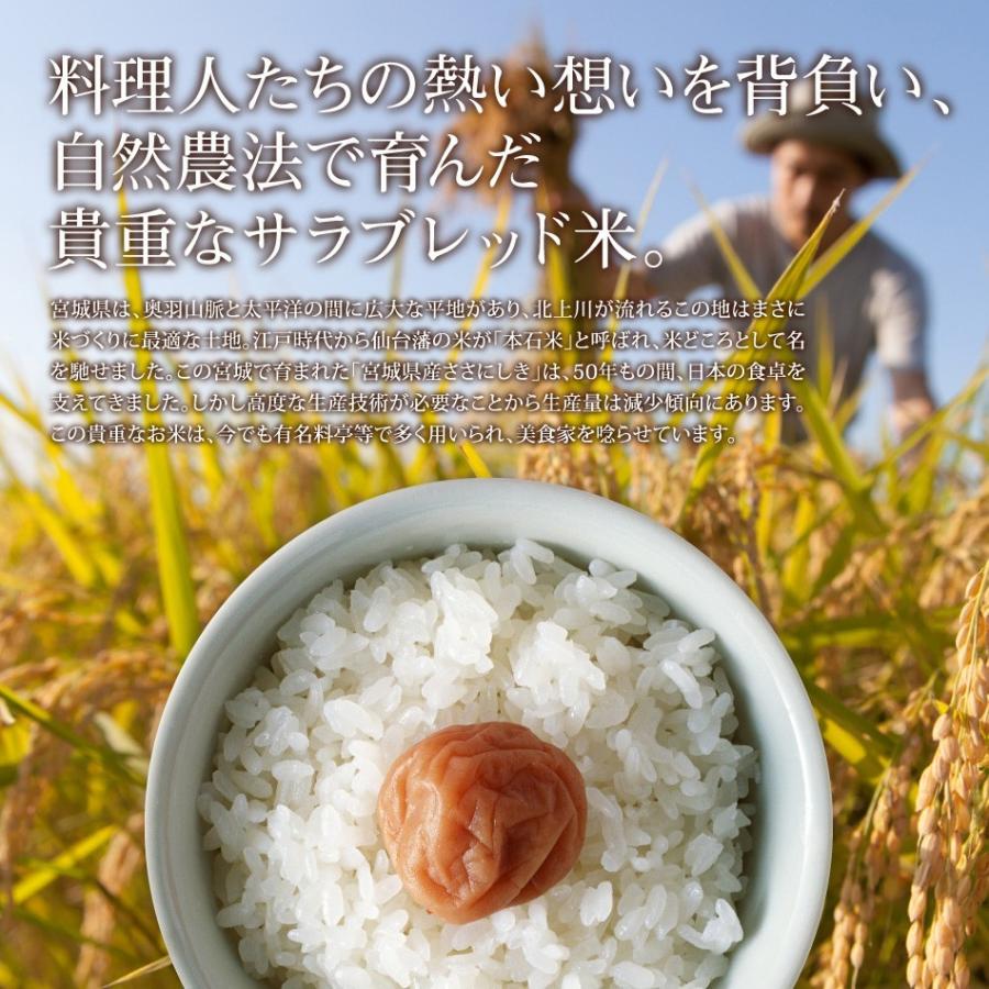 新米 米 3品目 食べ比べ 30kg 令和5年産 小分け 宮城県産 送料無料 精白米 ひとめぼれ つや姫 ササニシキ 各5kg×2袋が各3種