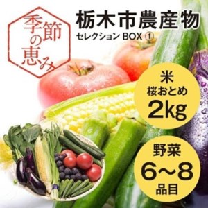 季節の恵み栃木市農産物セレクションBOX①