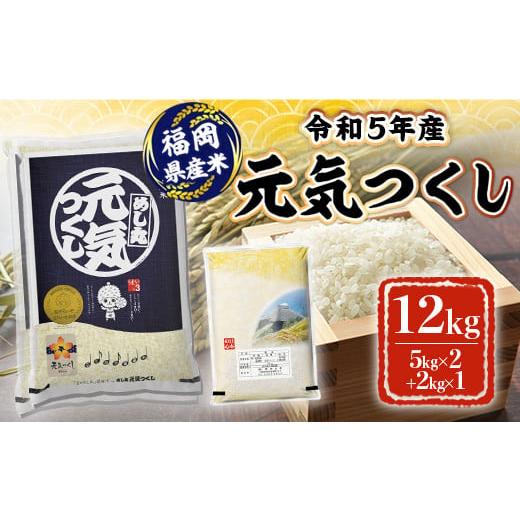 ふるさと納税 福岡県 朝倉市 米 12kg 令和5年産 元気つくし 福岡県産 お米