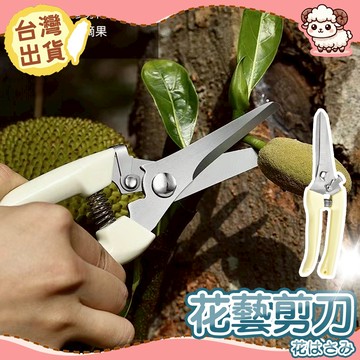 【台灣現貨-天天出】花藝剪刀 園藝剪刀 不鏽鋼剪刀 花藝工具 花枝剪刀 園藝器具 插花剪刀 花剪 修枝剪 樹枝剪 花桿剪