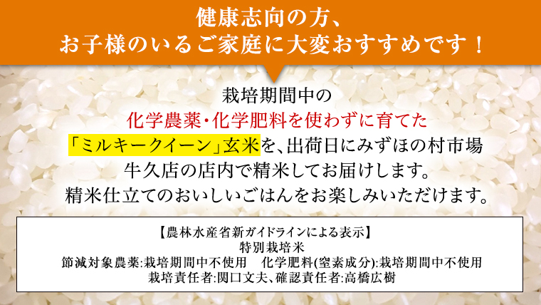 《 特別栽培米 》 令和5年産 精米日出荷 関口さんの「 ミルキークイーン 」 4.5kg × 3袋 玄米時 15kg 新鮮 精米 米 こめ コメ 特別栽培農産物 認定米 新米 [AM095us]