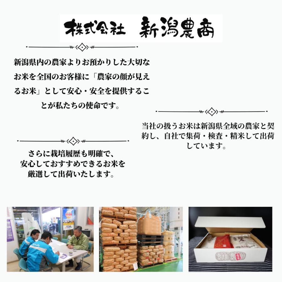 新潟農商 佐渡産 コシヒカリ 精米 10kg