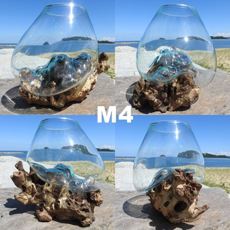 吹きガラスと天然木のオブジェ M 金魚鉢 メダカ水槽 花瓶 流木ガラス ガラス鉢 プランター 花瓶 アクアリウム ガラスボウル テラリウム コケリウム  | LINEブランドカタログ