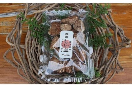 仲しい茸園　乾燥しい茸２種類詰め合わせセット