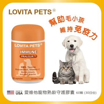 LOVITA PETS 愛維他寵物 熟齡守護膠囊*1瓶(NMN 白藜蘆醇 牛磺酸 葡聚醣)