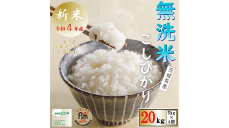 《 令和5年産 》茨城県産 無洗米 コシヒカリ 20kg 5kg × 4袋  こしひかり 米 コメ こめ 五ツ星 高品質 白米 精米 時短 期間限定 新米