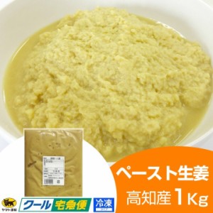 冷凍 ペースト生姜 1kg×1 高知県産