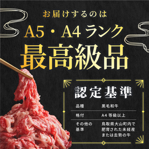 HA-02　肉質日本一の和牛「大山黒牛」切り落とし1kg