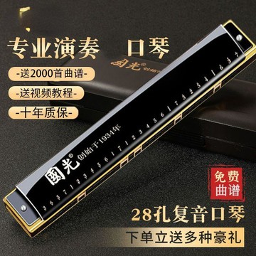 【台灣出貨】專業演奏口琴成人28孔複音重音初學者C調口琴老人口琴立體聲