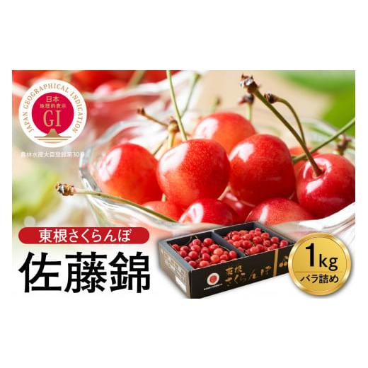 ふるさと納税 山形県 東根市 GI「東根さくらんぼ」 2024年産 佐藤錦1kgバラ詰め JA園芸部提供