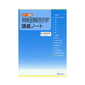 神経解剖学講義ノ−ト-カラ−図解