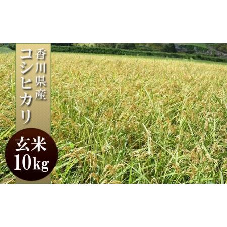 ふるさと納税 はなまる農園令和5年新米香川県産「コシヒカリ（玄米）10kg」 香川県東かがわ市