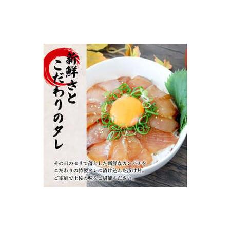 ふるさと納税 これが魚屋の漬け丼だ！〜カンパチ〜 《訳あり》 ８０ｇ×１０P カンパチ かんぱち 漬け丼 漬け どんぶり 丼 10パック 海鮮 魚.. 高知県田野町