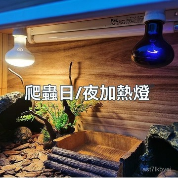 🔥爬寵專用🔥爬寵曬背燈 陸龜曬背燈 爬寵箱加熱燈 爬寵箱加熱燈架 魚缸燈 曬背燈 爬寵加熱補鈣爬蟲加熱燈陸龜箱加溫燈泡寵
