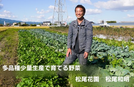 CC001_かずちゃんの朝採り新鮮野菜セット