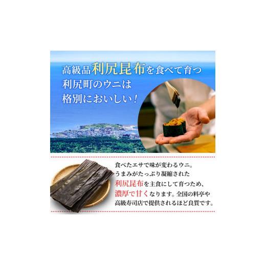 ふるさと納税 北海道 利尻町 北海道利尻島産 塩水生うに（ムラサキウニ）100g×1パック [2024年6月出荷開始先行受付] ウニ 塩水ウニ 北海道 利尻 ムラサキウニ