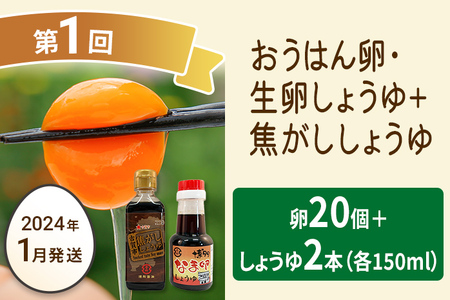 たまご前期定期便 6回発送（初回のみ醤油付き・たまご20個）20個×6回 合計120個 定期便 6ヶ月 卵 おうはん卵 青柳たまご 送料無料 