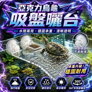 【現貨】雙吸盤烏龜曬台 壓克力爬台附餵食盒 透明防滑斜坡龜平台 16×9cm 小型魚缸巴西龜水龜曬背台 烏龜浮台