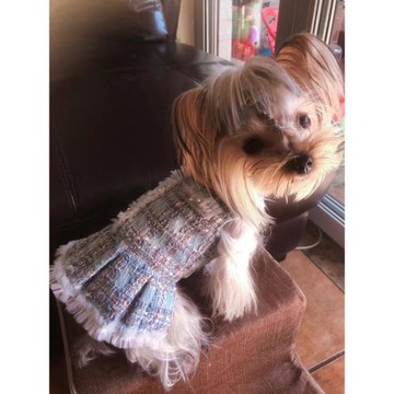 狗狗衣服裙子紙樣公主裙秋冬小香風裙子圖紙泰迪比熊法斗模板樣版