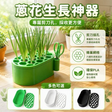 台灣出貨 3D打印蔥苗再生器 頂部蜂窩多孔設計 綠色剪刀收納盒 廚房窗臺種植盆 PP材質小巧不佔空間