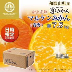 [予約 12月1日-12月20日の納品] マル賢みかん 青秀 約 7.5kg SML 樹上完熟 マルケン 和歌山県 けんぽう 上級品 冬ギフト お歳暮 御歳暮