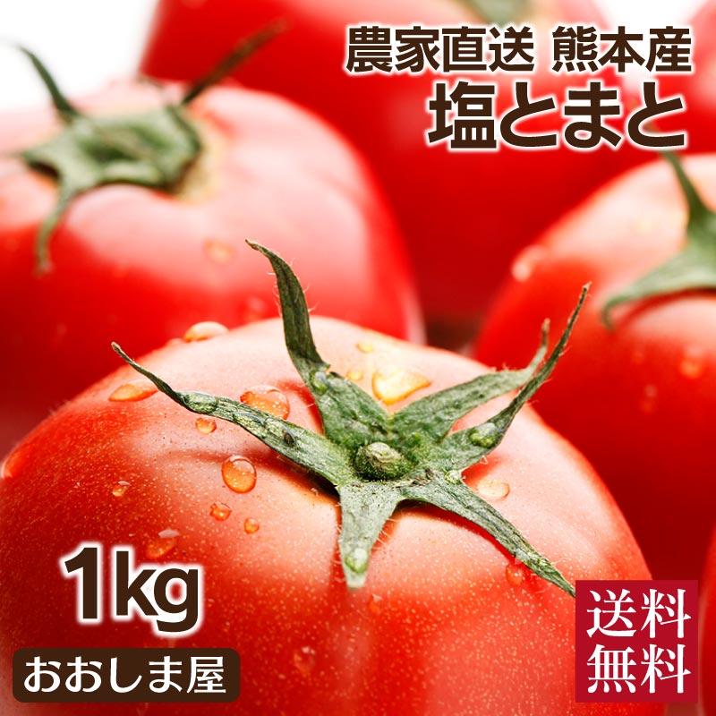 熊本産 塩トマト フルーツトマト 1kg 9〜12玉 送料無料 甘いトマト ＜12月中旬より出荷予定＞ 塩とまと 高糖度 農家直送 大嶌屋（おおしまや）