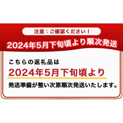 ふるさと納税 宮崎県 都城市 宮崎県産完熟マンゴー 太陽のタマゴ化粧箱入り≪2024年5月下旬以降順次お届け≫_AG-0103_(都城市) 宮崎…