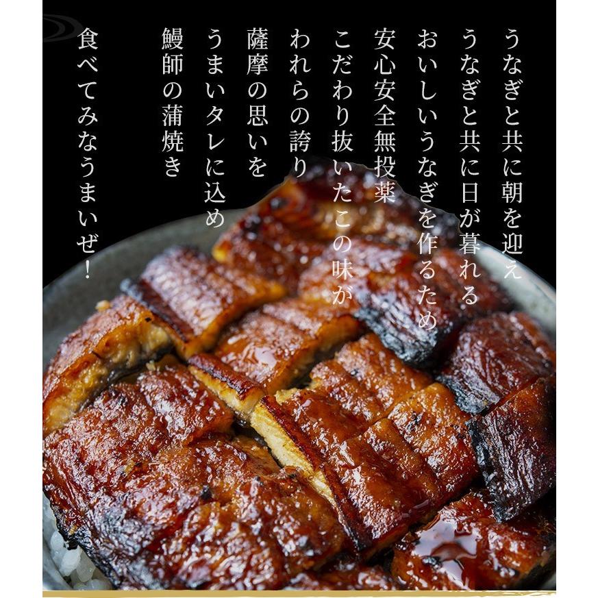 うなぎ 蒲焼き 鰻 国産 鹿児島県産 無投薬 約140g×1尾 化粧箱 ギフト プレゼント お歳暮 御祝い うなぎ蒲焼き ウナギ