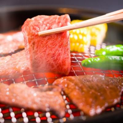 ふるさと納税 下呂市 飛騨牛肩ロース・もも焼肉セット　各400g