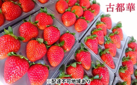 佃農園のこだわり完熟 古都華 