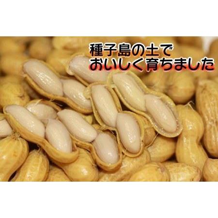 ふるさと納税 種子島　中村屋さんの塩ゆで落花生 300ｇ×5袋　360ｐｔ　NFN031 鹿児島県西之表市