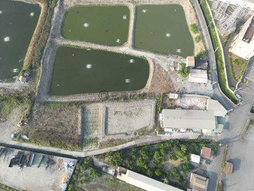 岡山嘉興⭐大面寬美農地✔️地形方正✔️29600｜高雄市岡山區嘉興段