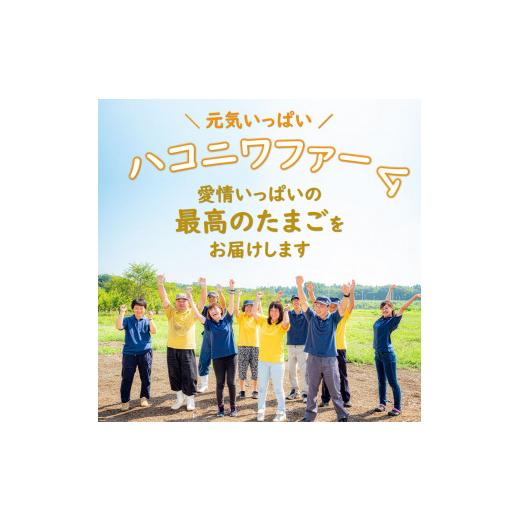 ふるさと納税 栃木県 真岡市 想像をこえる卵かけご飯を！茜たまご 20個 × たま研 公式 醤油 真岡市 栃木県 送料無料