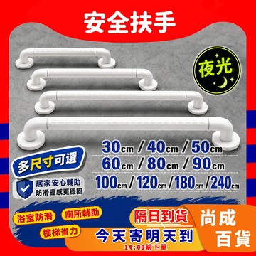🚀蝦店隔日到貨🔥安全扶手 浴室扶手 30~240公分 無障礙扶手 廁所扶手 樓梯扶手 殘障扶手 一字型扶手 夜光ABS