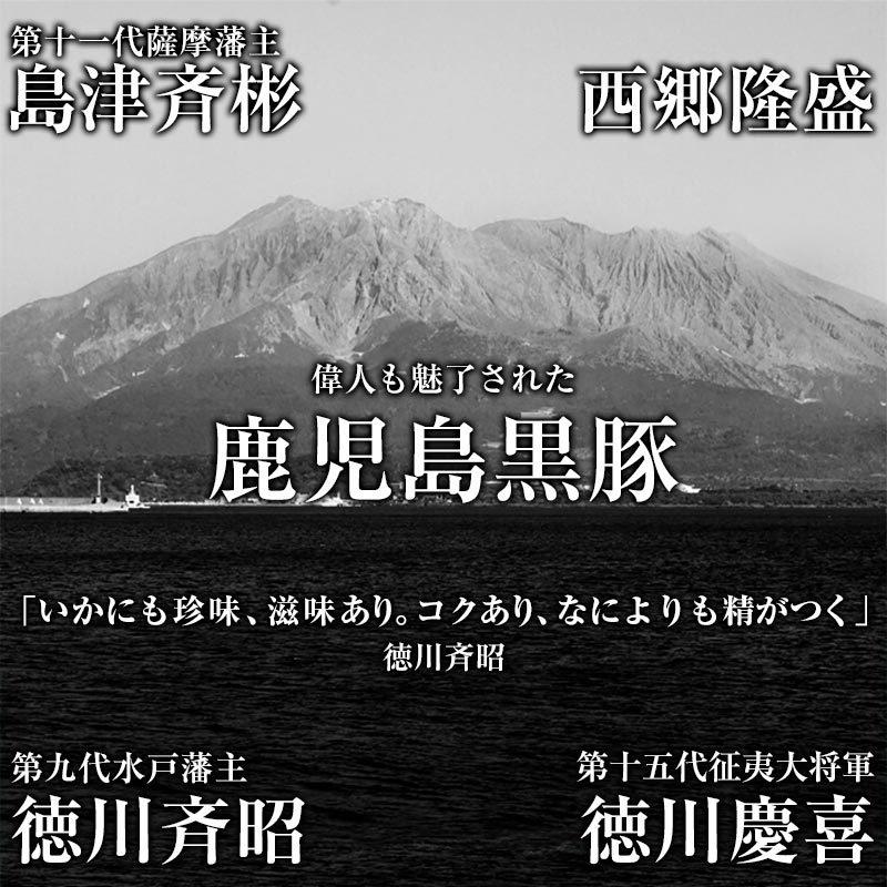 しょうが焼き 鹿児島黒豚 生姜焼き用 黒豚 食べくらべ セット 黒豚ロース肉 400ｇ 黒豚上肩肉 400g 計800g 送料無料 一部地域除く