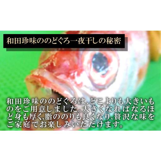 ふるさと納税 島根県 大田市 のどぐろ一夜干【定期便 のどぐろ 干物 5尾 3回 合計15尾 のどぐろ一夜干し のどぐろ干物 ノドグロ のど黒 …