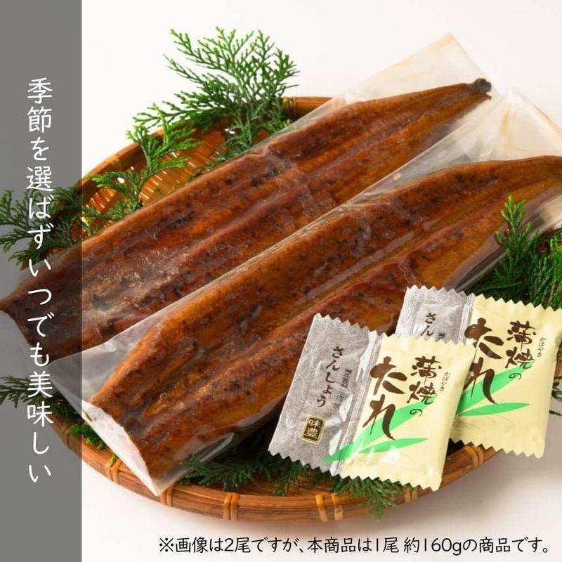 尾張まるはち うなぎ蒲焼 国産一色産 特大 真空パック 1尾 (1尾約160g)