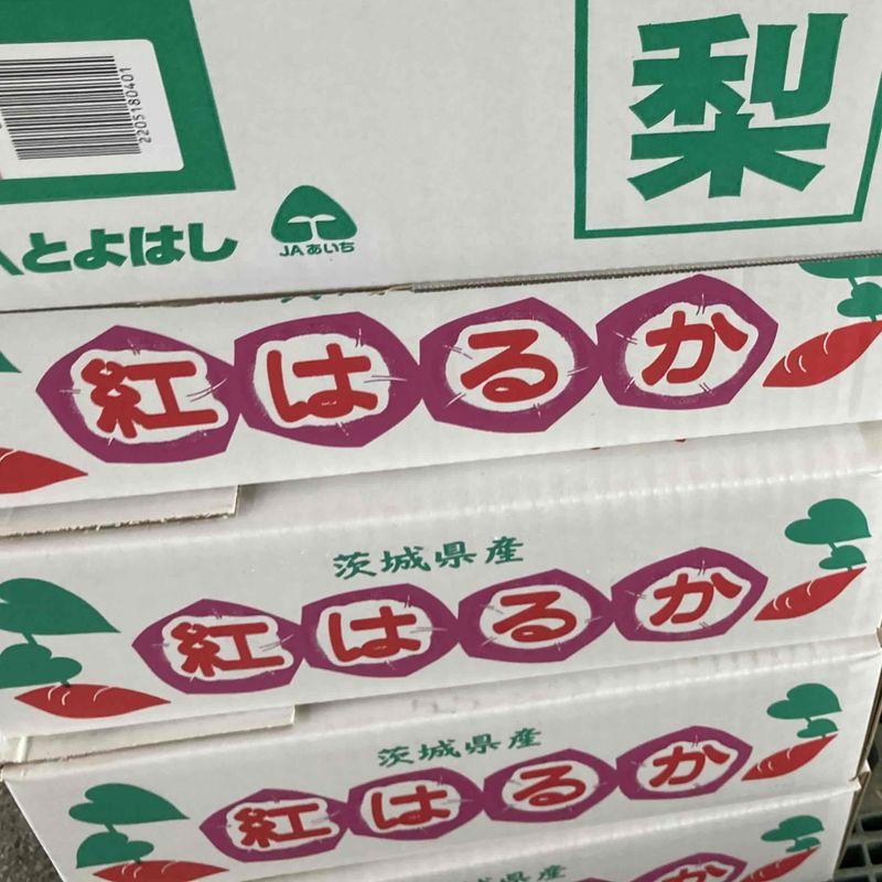 茨城産 甘いさつまいも 紅はるか 2Lサイズ 5ｋｇ