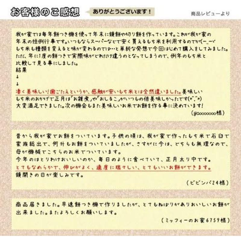 新米新潟県産 白米 こがねもち米 5kg 令和4年産