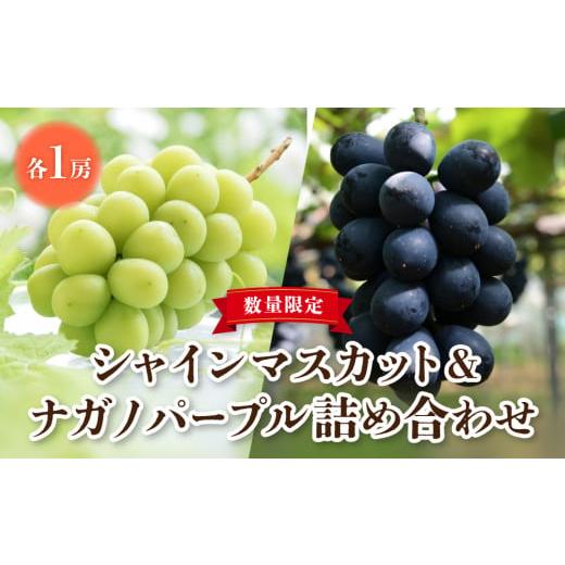 ふるさと納税 長野県 東御市 東御市産シャインマスカット＆ナガノパープル ※8月下旬〜9月下旬頃発送