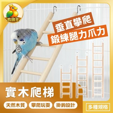 【鳥國王】鳥用實木爬梯 鳥籠樓梯玩具 可掛籠木製爬梯 鳥籠布景攀爬梯 鳥類活動玩具 鳥籠攀爬配件 鸚鵡用品 鳥用品